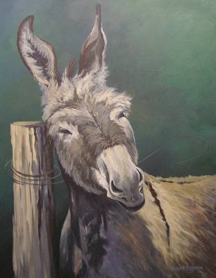 "Donkey" - Acrylic medium - Painting by Susan Higginson, an artist from Hawke's Bay, New Zealand.