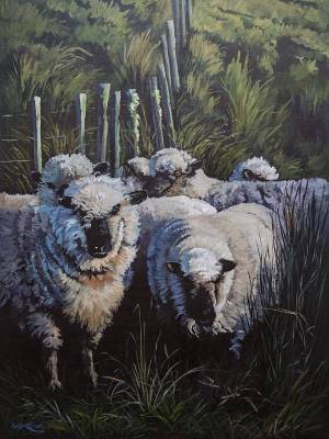 "We are watching" - Museum canvas, ready to hang. Acrylic medium - Painting by Susan Higginson, an artist from Hawke's Bay, New Zealand.