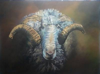 "Merino" - Museum stetch canvas - Painting by Susan Higginson, an artist from Hawke's Bay, New Zealand.