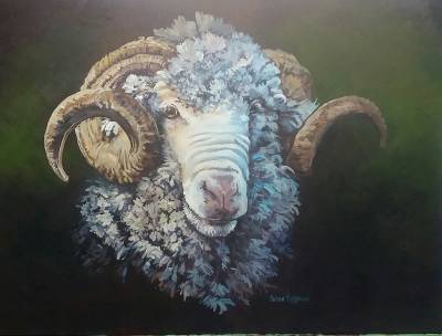 "Merino Ram" - Museum block canvas, acrylic medium - Painting by Susan Higginson, an artist from Hawke's Bay, New Zealand.