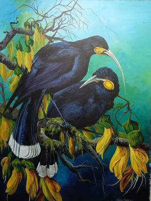 "Hui Birds for Rhys" - Museum canvas - Painting by Susan Higginson, an artist from Hawke's Bay, New Zealand.