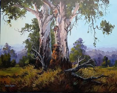 "Gums" - Acrylic medium on museum canvas - Painting by Susan Higginson, an artist from Hawke's Bay, New Zealand.