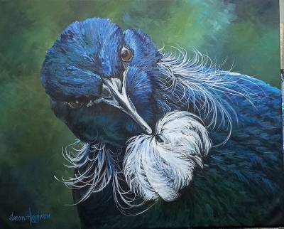 "Curious Tui" - Acrylic medium on museum canvas - Painting by Susan Higginson, an artist from Hawke's Bay, New Zealand.