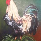 Rooster