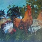 Roosters and Hen