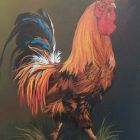 Rooster